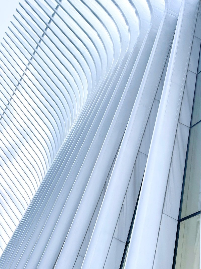 the-oculus-new-york-web